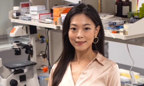 Yichun Wang receives Maximizing Investigators’ Research Award (MIRA) from NIH for novel drug-delivery platform