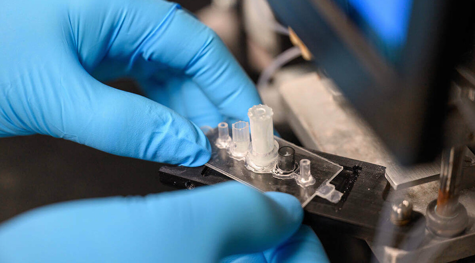 Hands with blue gloves hold the biochip used to detect biomarkers for glioblastoma, a fast-growing brain cancer.